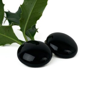 Vintage Ohrclips aus schwarzem Bakelit und Silber