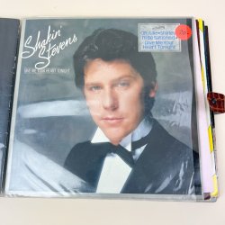 Seksten LP�er i plademappe
