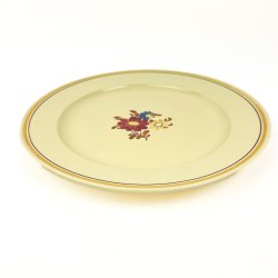 Villeroy &amp; Boch middagstallerken U65