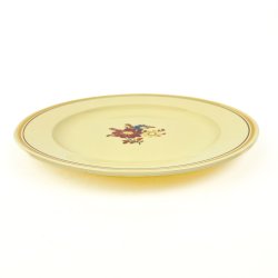 Villeroy &amp; Boch middagstallerken U65