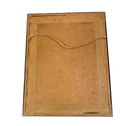 Rovfugl tegning Leif Ragn-Jensen 1946