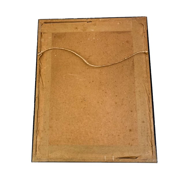 Rovfugl tegning Leif Ragn-Jensen 1946