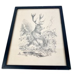 Hjort tegning Leif Ragn-Jensen 1946