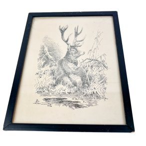 Hjort tegning Leif Ragn-Jensen 1946