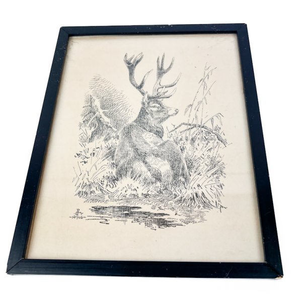 Hjort tegning Leif Ragn-Jensen 1946