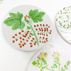 Sechs Vintage Frhstcksuntersetzer mit Pflanzen