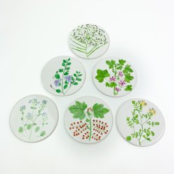 Sechs Vintage Frhstcksuntersetzer mit Pflanzen