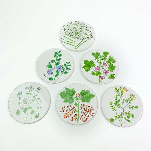 Sechs Vintage Frhstcksuntersetzer mit Pflanzen