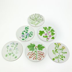 Sechs Vintage Frhstcksuntersetzer mit Pflanzen