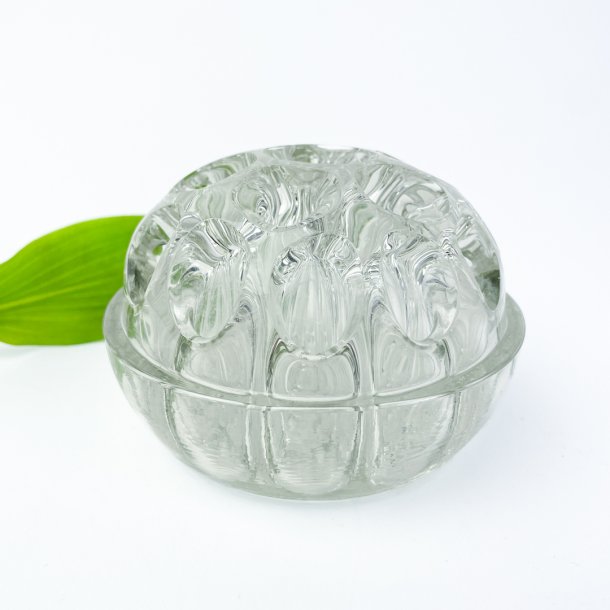 Stor vintage blomsterfakir i glas