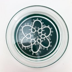 Fire vintage glasbakker i glas og blonde