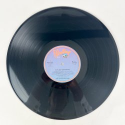 Kim Larsen, Forkl�dt som voksen - LP