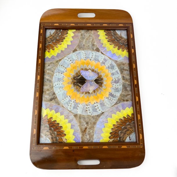 Vintage sommerfugle tr�bakke