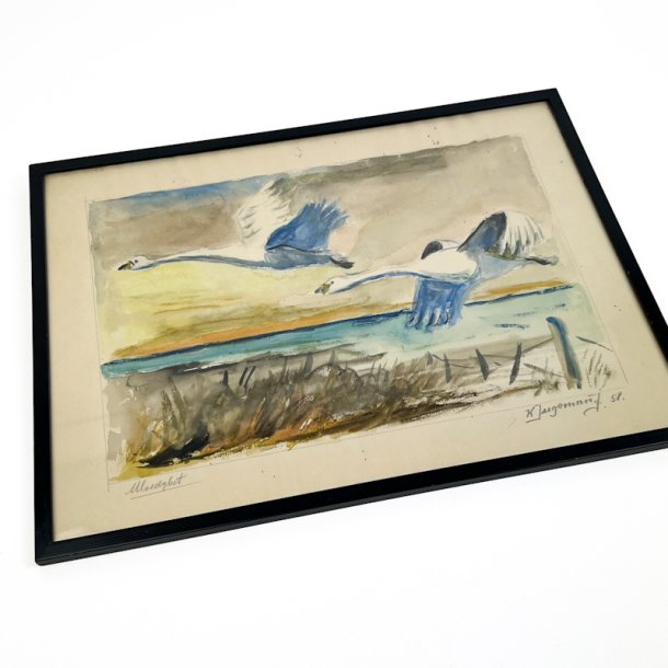 Vintage akvarel med svaner