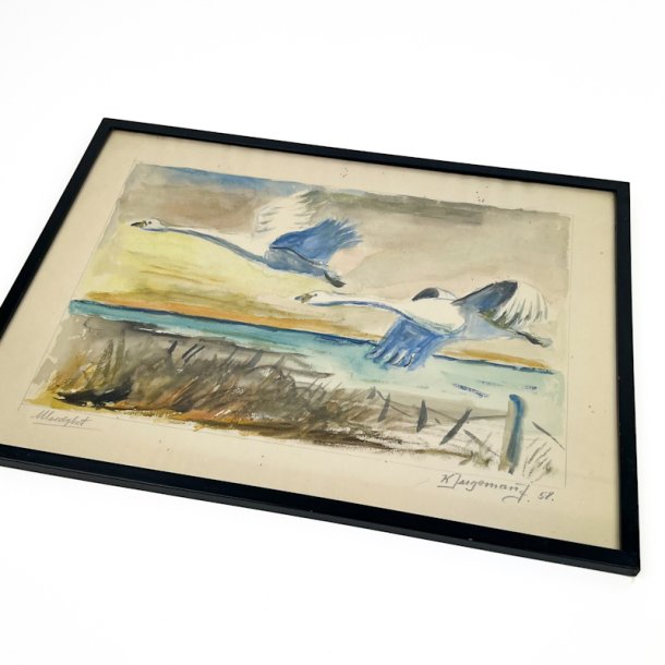 Vintage akvarel med svaner
