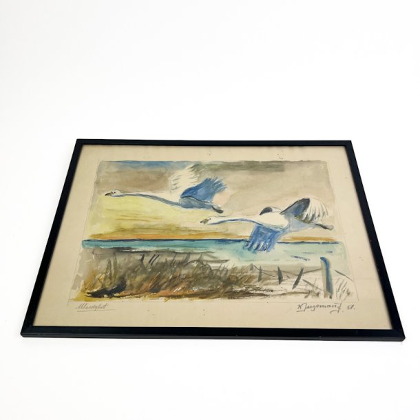 Vintage akvarel med svaner