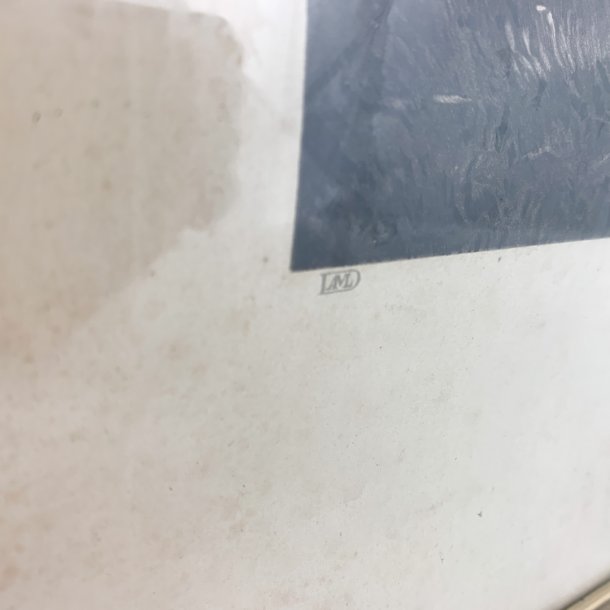 Tegning - Axsamlersker