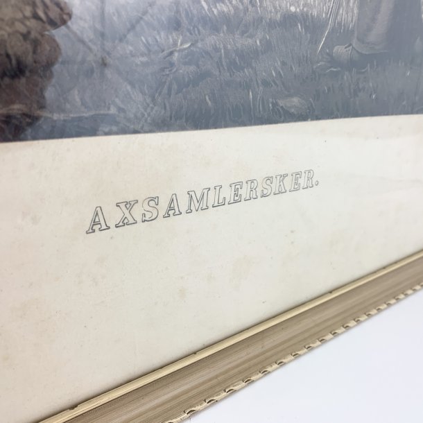 Tegning - Axsamlersker