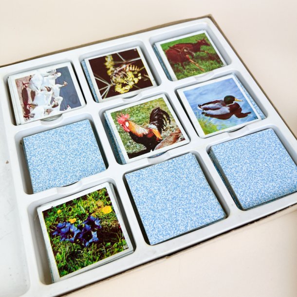 Gul retro natur memory spil