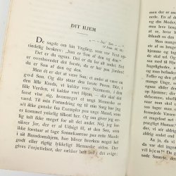 Ungdomsliv bog 1900-tal