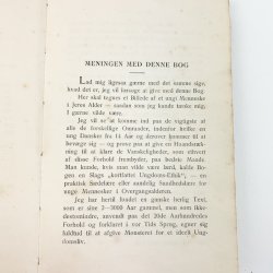 Ungdomsliv bog 1900-tal