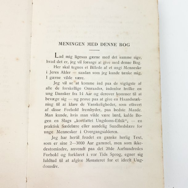 Ungdomsliv bog 1900-tal