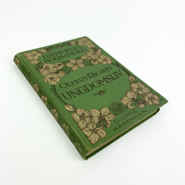 Ungdomsliv bog 1900-tal