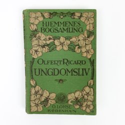 Ungdomsliv bog 1900-tal