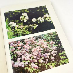 Vintage biologibog fra 1961