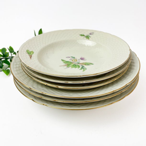 Tiefer Teller  Anemone, B&G Nr. 23