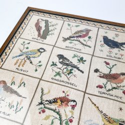 Vintage fugle broderi billede