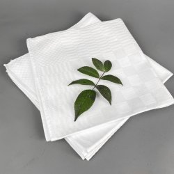 Fire hvide damask mundservietter