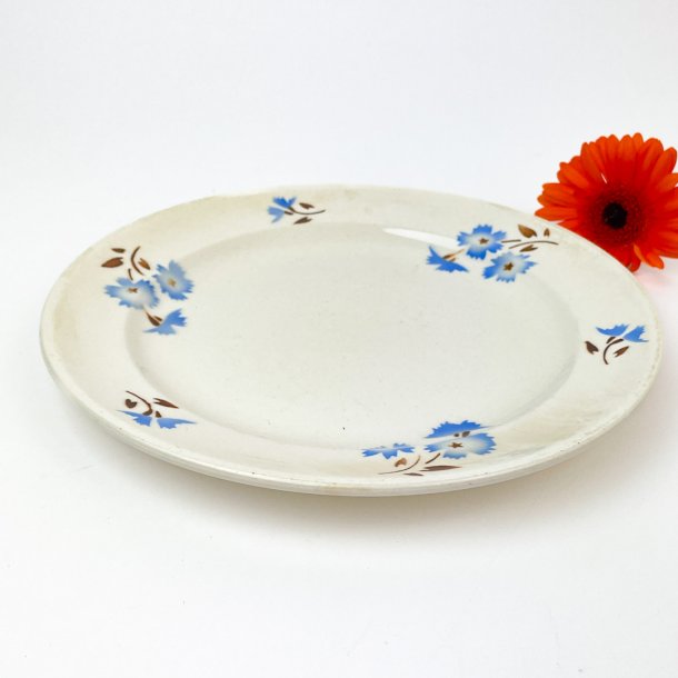 Middagstallerken med bl blomster