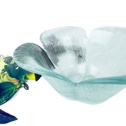 Holmegaard Garni Schale aus geriffeltem Glas