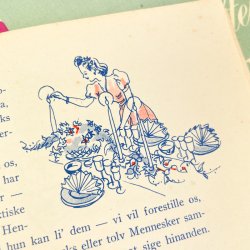 To vintage husholdningsh�fter