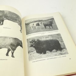 Vintage Slagterbogen