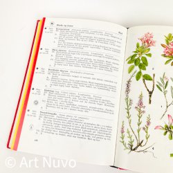 Retro Farve-flora � Lademann � 1974