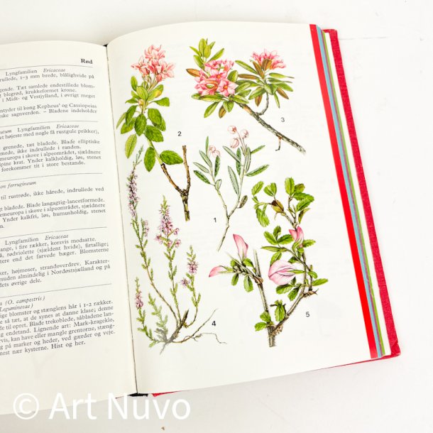 Retro Farve-flora � Lademann � 1974