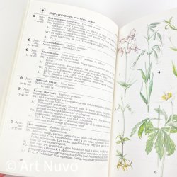 Retro Farve-flora � Lademann � 1974