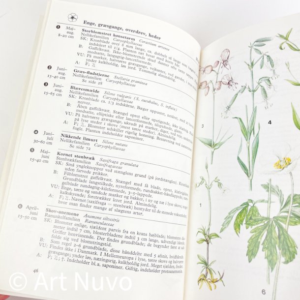 Retro Farve-flora � Lademann � 1974