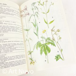 Retro Farve-flora � Lademann � 1974