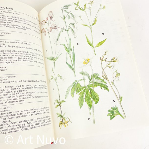 Retro Farve-flora � Lademann � 1974