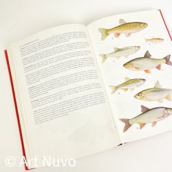 Retro Dyr og v�kster � Lademann � 1974