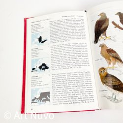Retro Fugle-atlas � Lademann � 1975