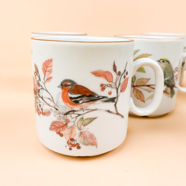 Seks Mads Stage fuglekrus