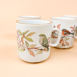 Seks Mads Stage fuglekrus