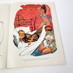 Humoristisk vintage Playboy-tegnebog