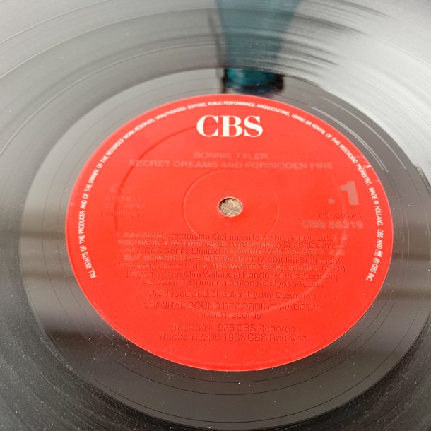 Bonnie Tyler - Secret dreams and forbidden fire - LP