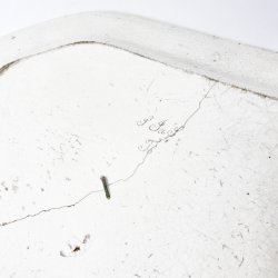 Antikes Fischgericht - Wildrose