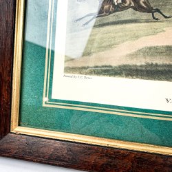 Druck  Vale of Aylesbury Kirchturmjagd, G. &amp; C. Hunt